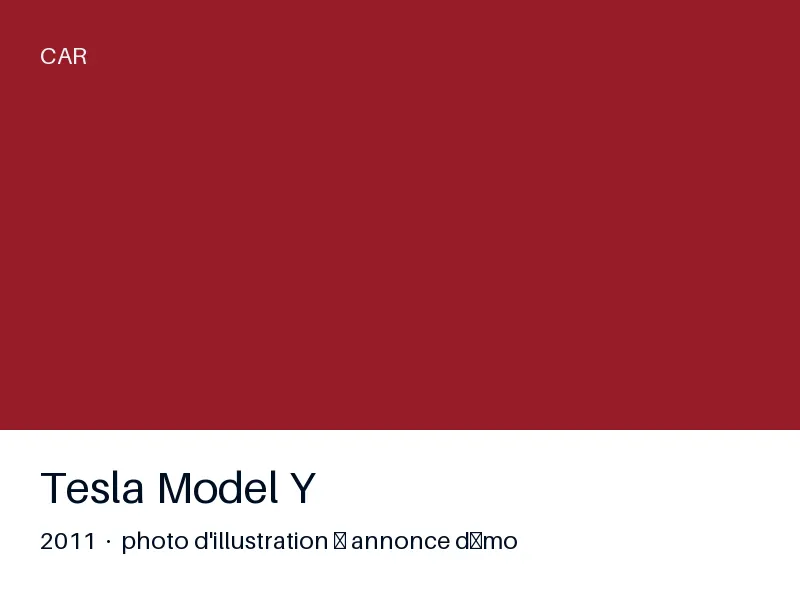 Tesla Model Y 2011 — faible kilométrage