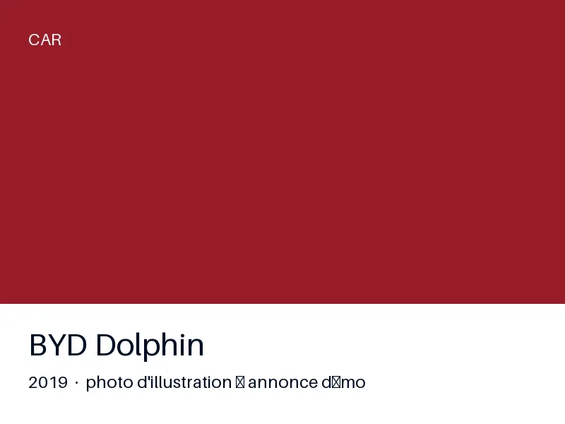 BYD Dolphin 2019 — première main