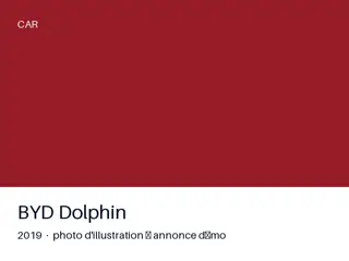 BYD Dolphin 2019 — première main