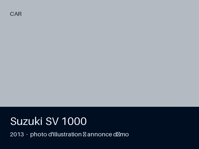 Suzuki SV 1000 2013 — carnet complet