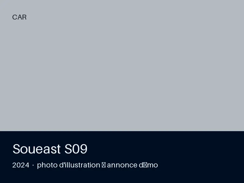 Soueast S09 2024 — toutes options