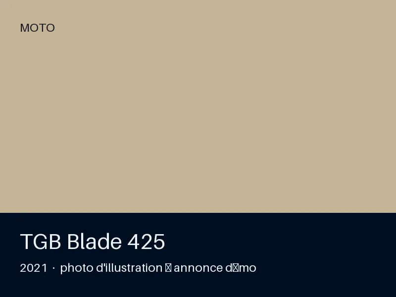 TGB Blade 425 2021 — entretien à jour