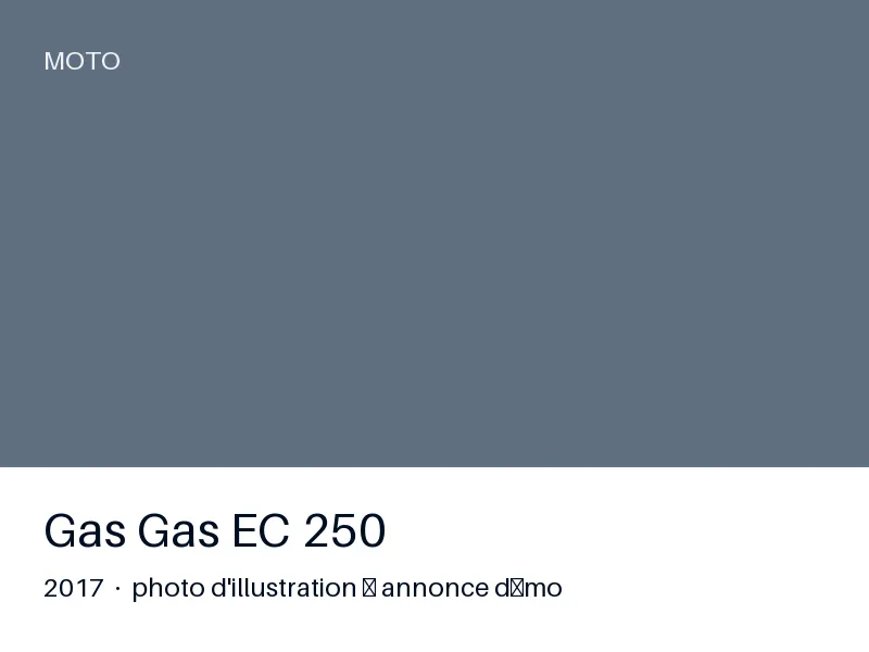 Gas Gas EC 250 2017 — faible kilométrage