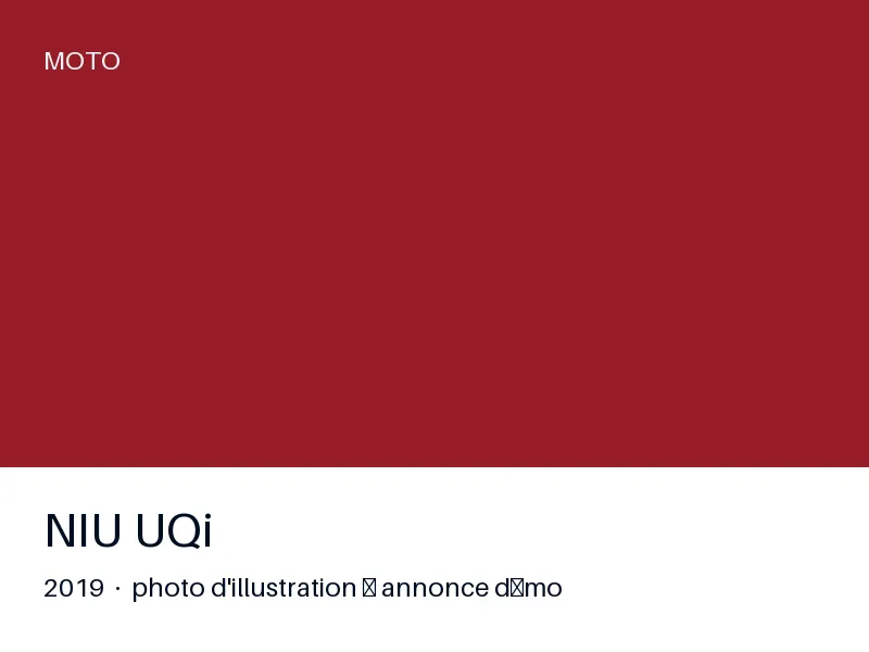 NIU UQi 2019 — toutes options