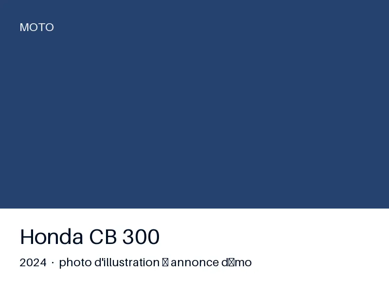 Honda CB 300 2024 — très bon état
